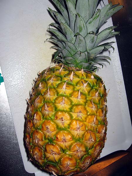 Ananas 04.jpg