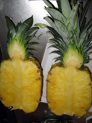 Ananas 05.JPG