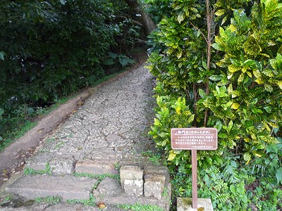 P1040043.jpg