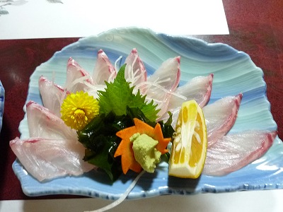 P1080046.jpg