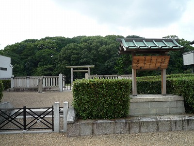 P1060362.jpg