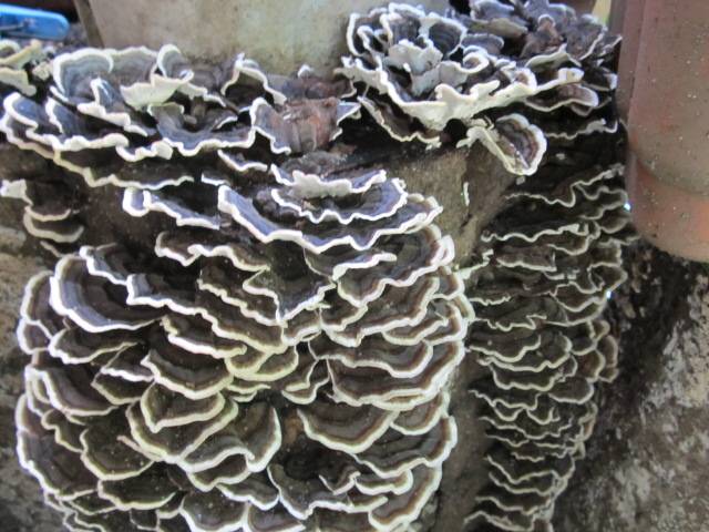 20110922x2.jpg