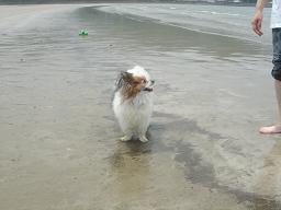 海くん