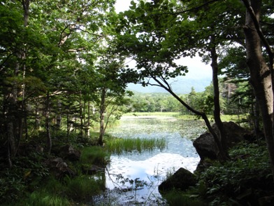 shiretoko_goko
