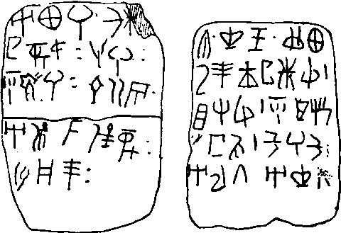 原シナイ文字から派生した文字体系