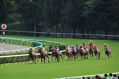 新馬戦