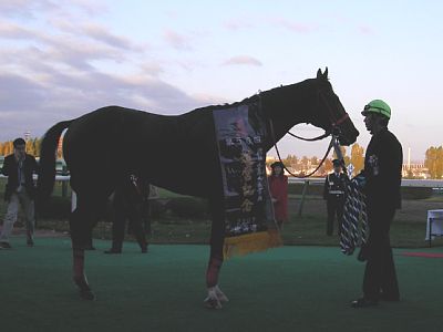 ジンクライシス