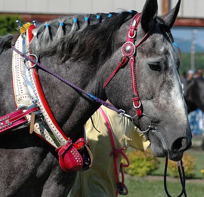 2006年7月9日、ばんえい競馬観戦記 | 外へ出たくありません 2006年7月9日、ばんえい競馬観戦記 | 外へ出たくありません