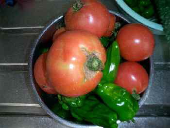 野菜