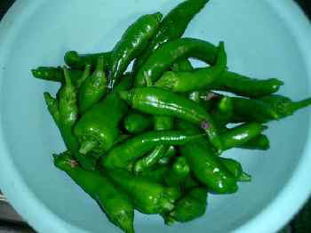 野菜