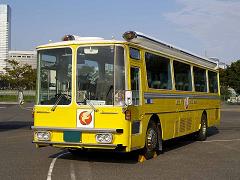 800px-Hatobus_182_Super-Bus.jpg