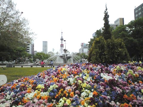 大通公園