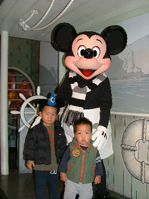 TDR