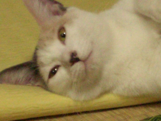 012.JPG