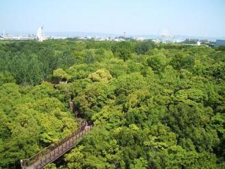 ソラード展望台からの風景