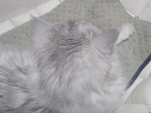 どんのくぼ