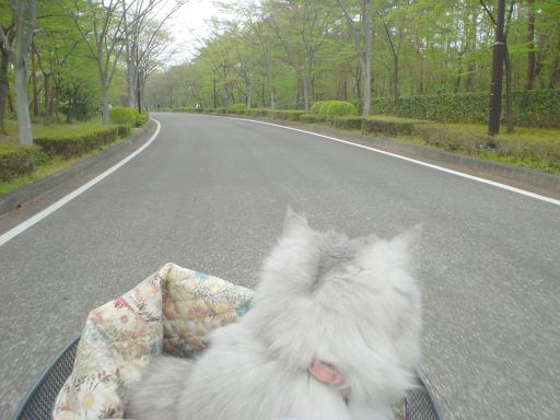ビュワ～～～ン