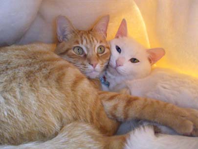 何するのよ～～