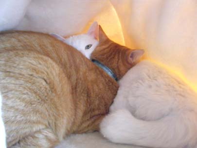 邪魔しないでね♪