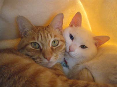 いつまでも仲良くね♪