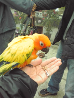 花鳥園