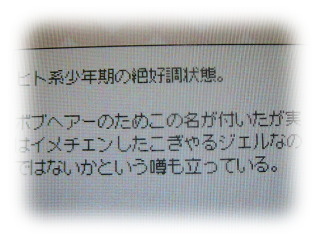 ２月４日ぼぶジェル説明