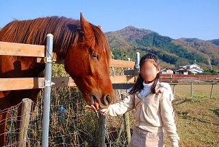 ニシキ君