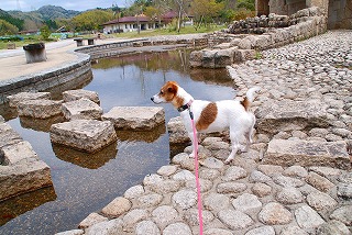 水遊び