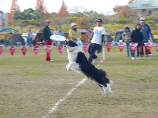 モモちゃん