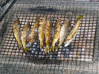 アユ焼き