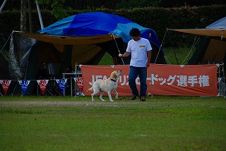 マックちゃん