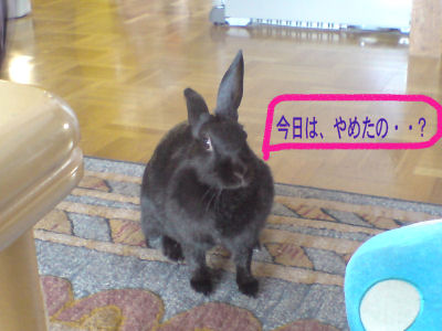 今日は、やめたの.jpg