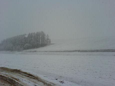 富良野　雪.jpg