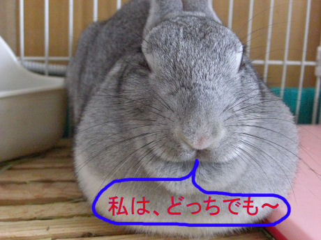 早く～1.jpg