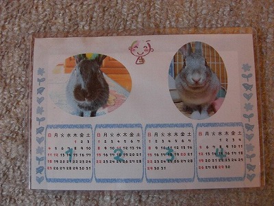 うさこ はな.jpg