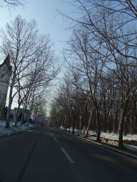 DSCF1545.JPG