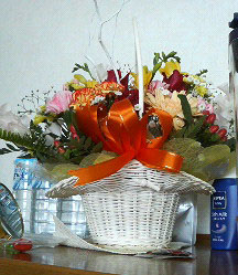 200711281315001.jpg