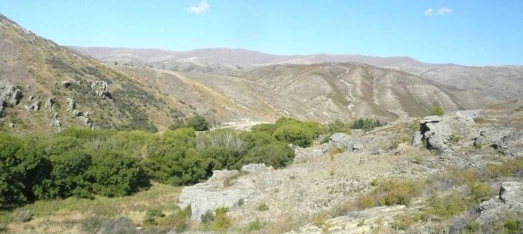 タラス付近（車窓）b