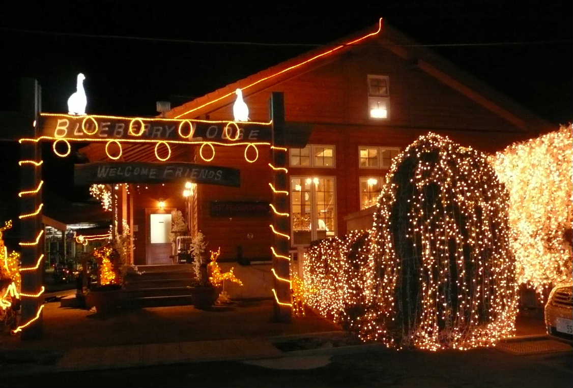 ﾌﾞﾙｰﾍﾞﾘｰﾛｯｼﾞﾌﾛﾝﾄ夜