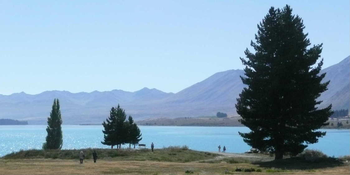 テカポ湖g