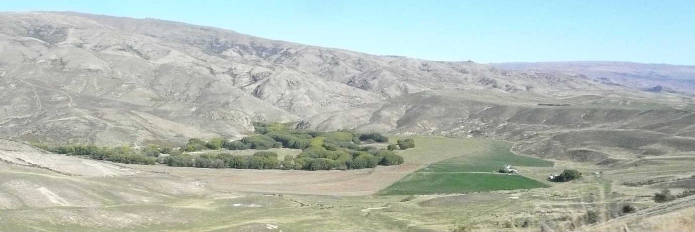 タラス付近（車窓）c.