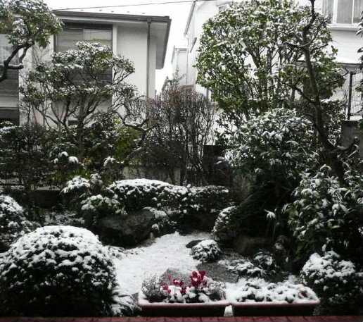 庭初雪
