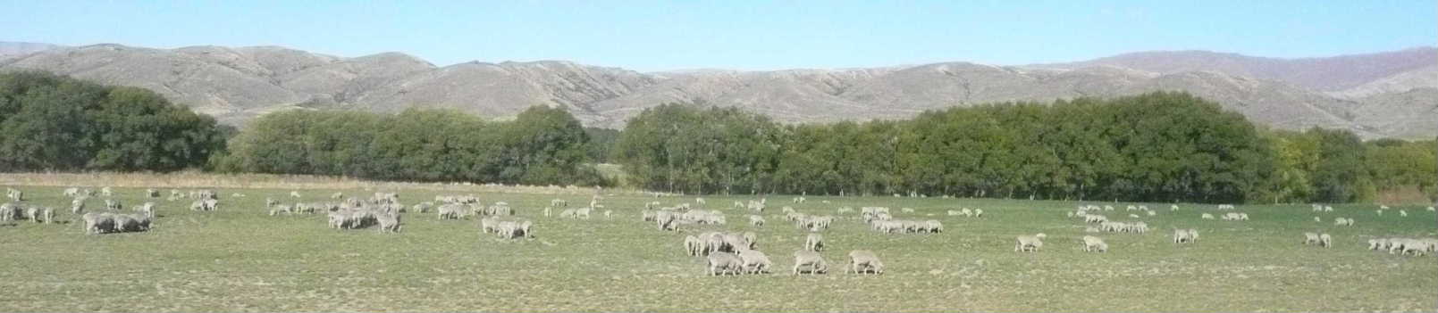 タラス付近（車窓）a