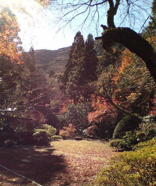 奥湯河原01
