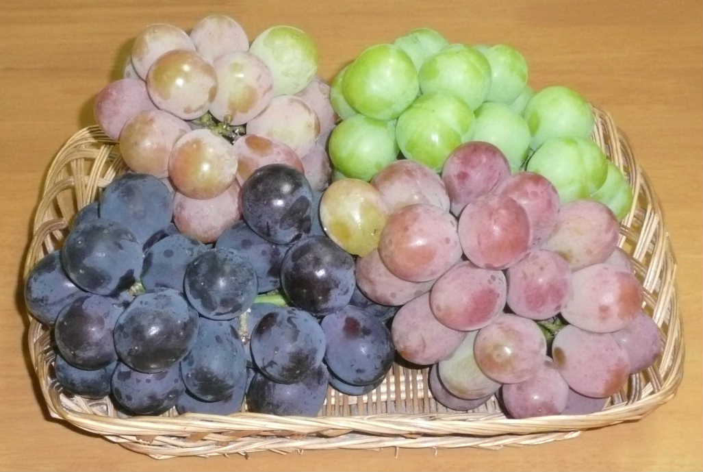 篭入りブドウ