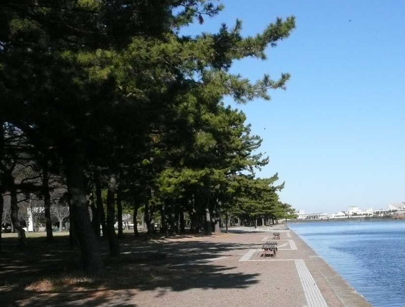 野島公園03