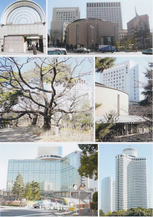 上智大学