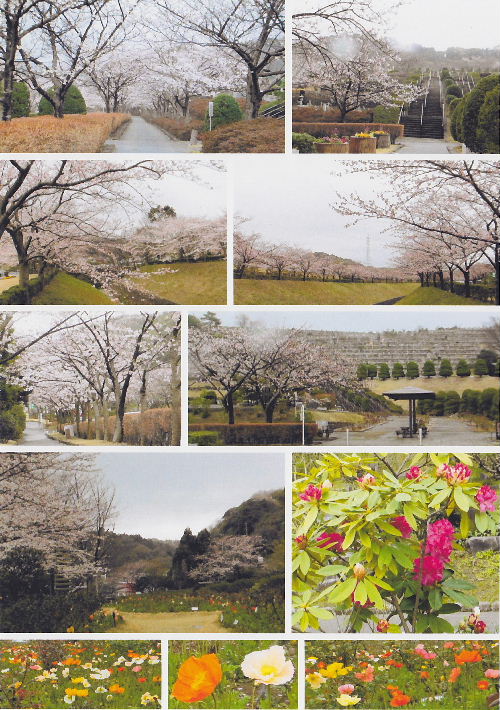 02（鎌倉霊園）