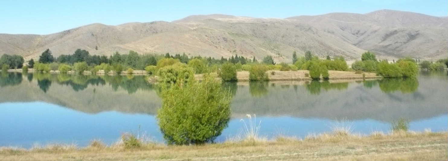 プカキ湖（車窓）