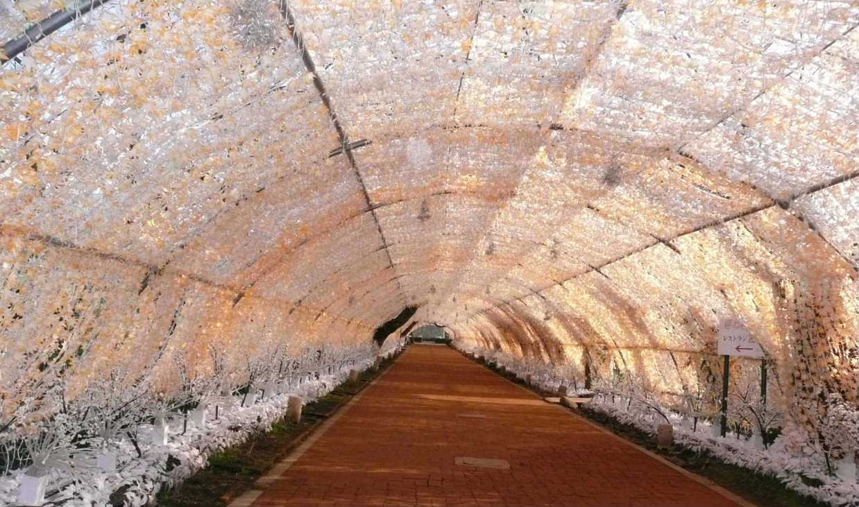 ｲﾙﾐﾈｰｼｮﾝﾛｰﾄﾞ朝